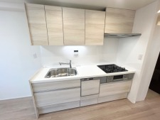 システムキッチン、食器洗い乾燥機と浄水器付